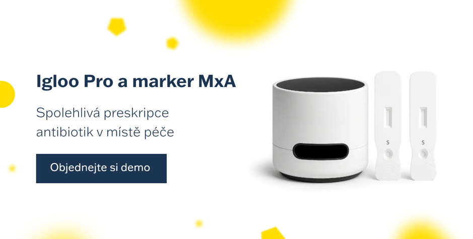 MxA_Igloo_CZ_big_11.11