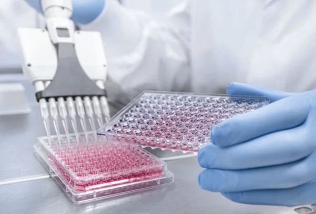 Práce s proteiny a kultivace