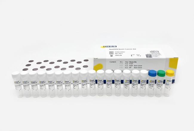 fastGEN Brain Cancer Kit