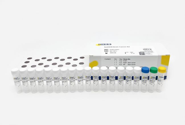 fastGEN Brain Cancer kit