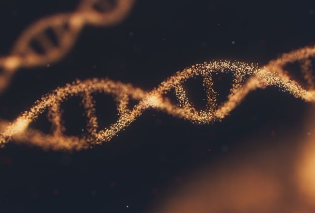 Clinical Exome Sequencing (CES) NGS Assay