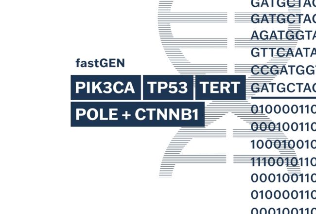 fastGEN POLE/CTNNB1 Cancer kit
