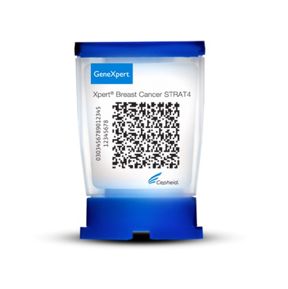 E-shop hlavní obrázek